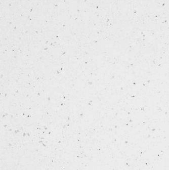 INTERNAL STONE BENCHTOP selection image 9